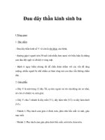 Đau dây thần kinh sinh baI pdf