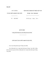 Mẫu quyết định cưỡng chế kê biên tài sản, bán đấu giá tài sản kê biên ppt