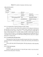 Công nghệ vật liệu part 7 doc