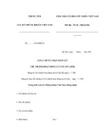 MẪU GIẤY CHỨNG NHẬN ĐĂNG KÝ CHI NHÁNH HOẠT ĐỘNG LƯU KÝ (SỬA ĐỔI) pdf