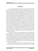 Báo cáo: “ Hoaǹ thiêṇ và nâng cao công tác tiêu thụ sản phẩm của công ty cổ phần xích líp Đông Anh” pdf