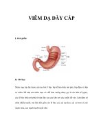 VIÊM DẠ DÀY CẤP pdf