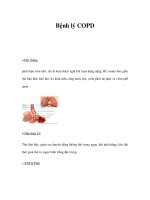 Bệnh lý COPD potx