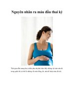 Nguyên nhân ra máu đầu thai kỳ pptx