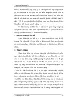 Chuyên đề tốt nghiệp: Phát triển kinh tế và những rủi ro phần 4 docx