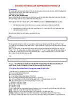 Cơ bản về regular expression trong C# docx