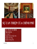 Thuyết trình: Sự can thiệp của chính phủ
