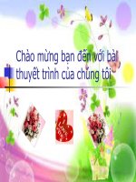 Bài thuyết trình thành tựu, thách thức về kinh tế Việt Nam 20 năm đổi mới potx