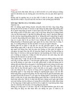 văn hóa kinh doanh ả rập