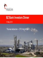 bz bank investors dinner 14 may 2014 thomas aebischer cfo holcim ltd