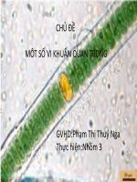 CHỦ ĐỀ 5: MÔT SỐ VI KHUẨN QUAN TRỌNG doc