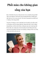 Phối màu cho không gian sống của bạn pot