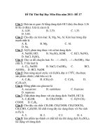 Đề Thi Thử Đại Học Môn Hóa năm 2011- ĐỀ 17 ppt