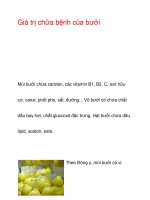 Giá trị chữa bệnh của bưởi potx