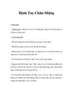 Bệnh Tay-Chân-Miệng ppsx