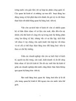 Quá trình hình thành tư liệu nghiên cứu nền kinh tế thị trường bằng những biện pháp cơ bản p2 pptx