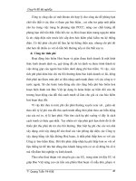 Chuyên đề tốt nghiệp: Phát triển kinh tế và những rủi ro phần 7 pdf