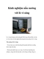 Kinh nghiệm nấu nướng với lò vi sóng pot