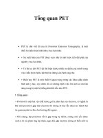 Tổng quan PET ppt