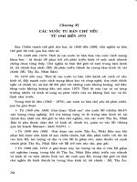 Lịch sử thế giới hiện đại -phần 2-chương 11 pot