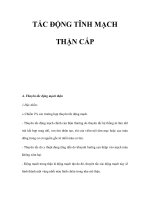 TẮC ĐỘNG TĨNH MẠCH THẬN CẤP potx