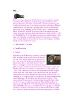 Bạn hiểu gì về chuột máy tính ? ppsx