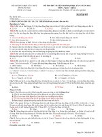 ĐỀ THI THỬ TUYỂN SINH ĐẠI HỌC LẦN 2 NĂM 2011 MÔN : Vật lí - Khối A pptx