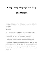 Các phương pháp cận lâm sàng gan mật (3) potx