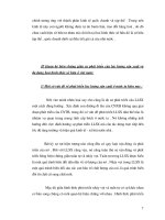 Quá trình hình thành tư liệu nghiên cứu quan hệ biện chứng giữa các lực lượng sản xuất và sự đa dạng hóa p2 potx