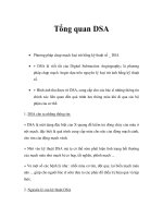 Tổng quan DSA potx