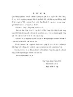 Khảo sát các yếu tố ảnh h ưởng đến chất lượng của rượu vang trong quá trình lên men rượu vang từ quả xoài