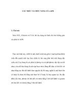 CẤU TRÚC VÀ CHỨC NĂNG CỦA ADN pps