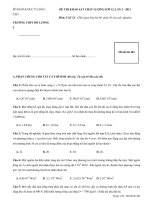 ĐỀ THI KHẢO SÁT CHẤT LƯỢNG LỚP 12 MÔN VẬT LÝ LẦN 2 - 2011 TRƯỜNG THPT ĐÔ LƯƠNG 3 ppt