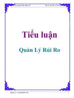 Tiểu luận: Quản Lý Rủi Ro potx