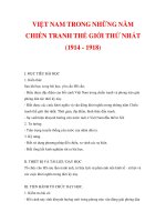 VIỆT NAM TRONG NHỮNG NĂM CHIẾN TRANH THẾ GIỚI THỨ NHẤT (1914 - 1918) potx