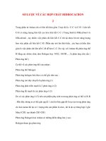 SƠ LƯỢC VỀ CÁC HỢP CHẤT HIDROCACBON 2 pdf