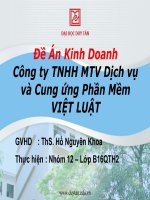 đề án kinh doanh công ty tnhh mtv dịch vụ và cung ứng phần mềm việt luật