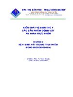Giáo trình -Kiểm soát vệ sinh thú y các sản phẩm động vật - An toàn thực phẩm-chương 2 pps