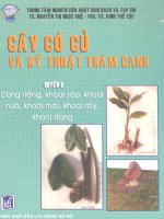 Cây có củ và kỹ thuật thâm canh - Tập 6 part 1 pdf