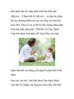 Khó phát hiện trẻ chậm phát triển tâm thần nhẹ pot