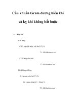 Cầu khuẩn Gram dương hiếu khí và kỵ khí không bắt buộc pot