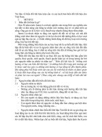 Tài liệu về biến đổi khí hậu toàn cầu và các kịch bản biến đổi khí hậu cho Việt Nam pptx