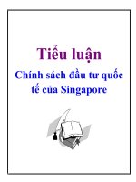 Tiểu luận: Chính sách đầu tư quốc tế của Singapore potx