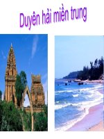 Vùng kinh tế duyên hải miền trung doc