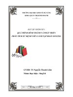 quá trình hình thành và phát triển phân tích sứ mệnh viễn cảnh tập đoàn singtel