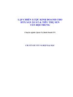 lập chiến lược kinh doanh cho hợp tác xã sản xuất và tiêu thụ sen tân hội trung