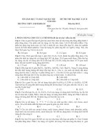 Đê thi thử hóa - THPT AMSTERDAM doc