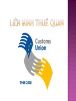 Liên minh thuế quan ppt