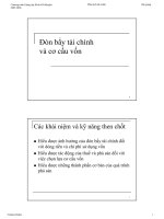 Đòn bẩy tài chính và cơ cấu vốn ppt