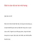 Giá trị của nội soi tai mũi họng NỘI SOI LÀ GÌ? pdf